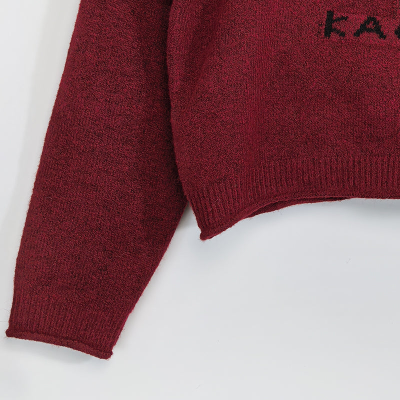 ZhiKnit Women's cartoon teddy bear Christmas sweater paired with innovative printed round neck sweater pullover